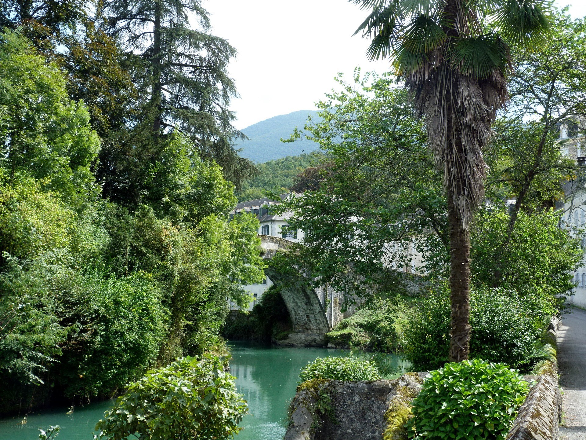 Stone bridge over river in green landscape