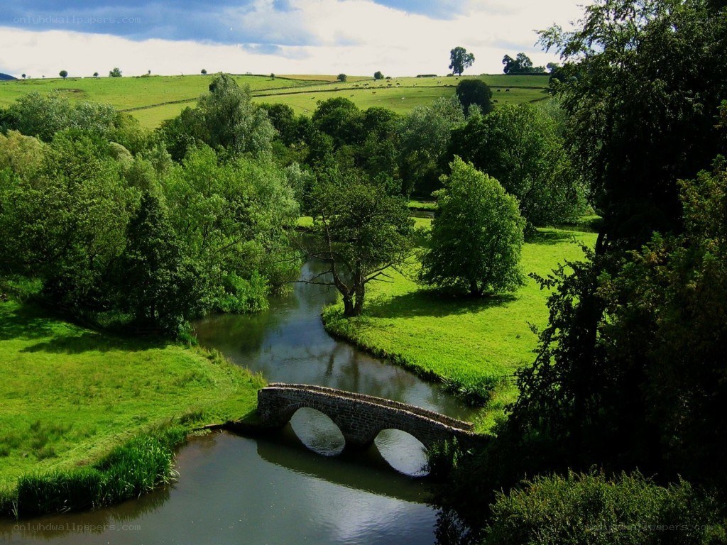 Stone bridge over river in green valley