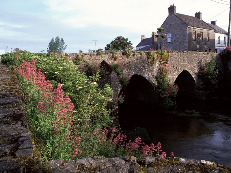 Stone bridge over river in village