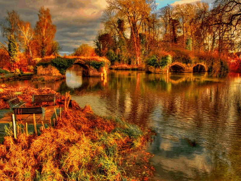 Stone Bridge over River — Orange, Serene, Autumn, Photograph, Trees