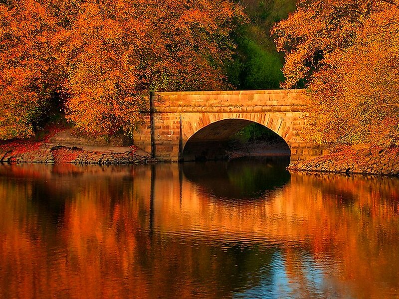 Stone Bridge over River — Orange, Serene