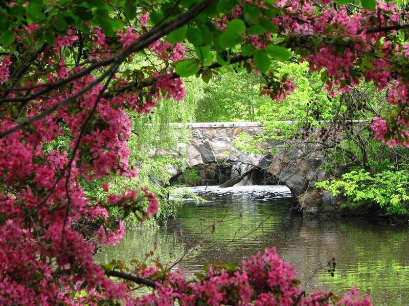 Stone Bridge over River — Pink