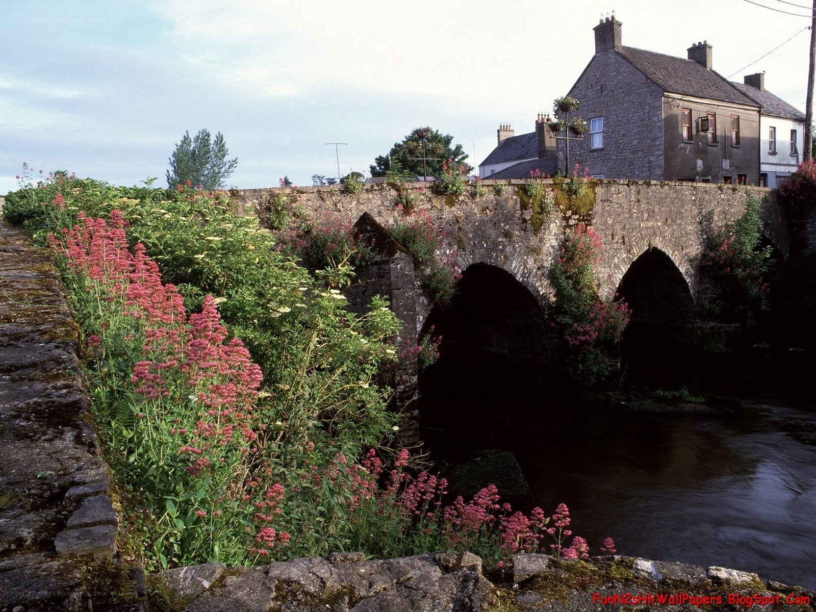 Stone bridge over river with flowers