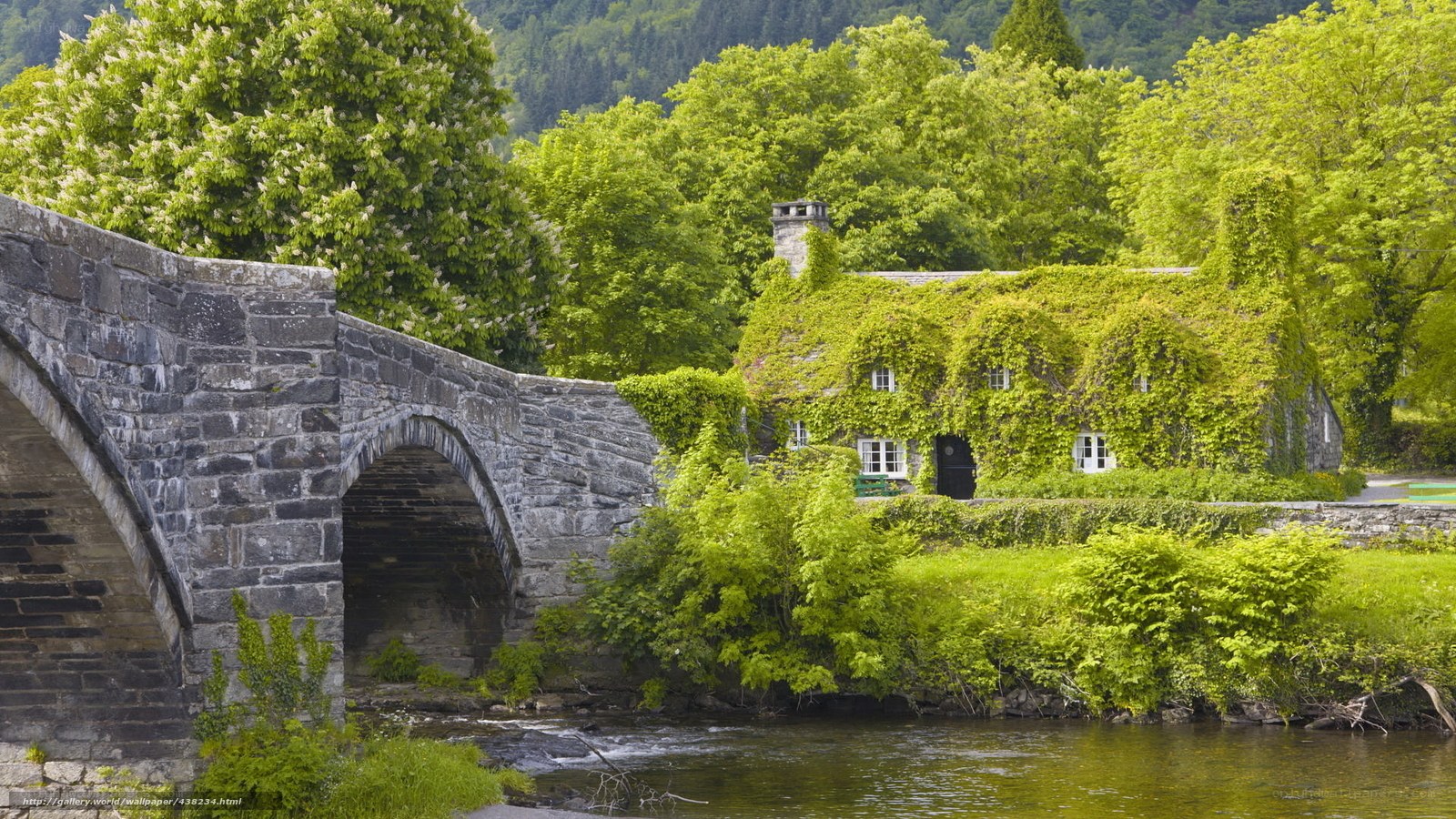 Stone bridge over river with ivy cottage