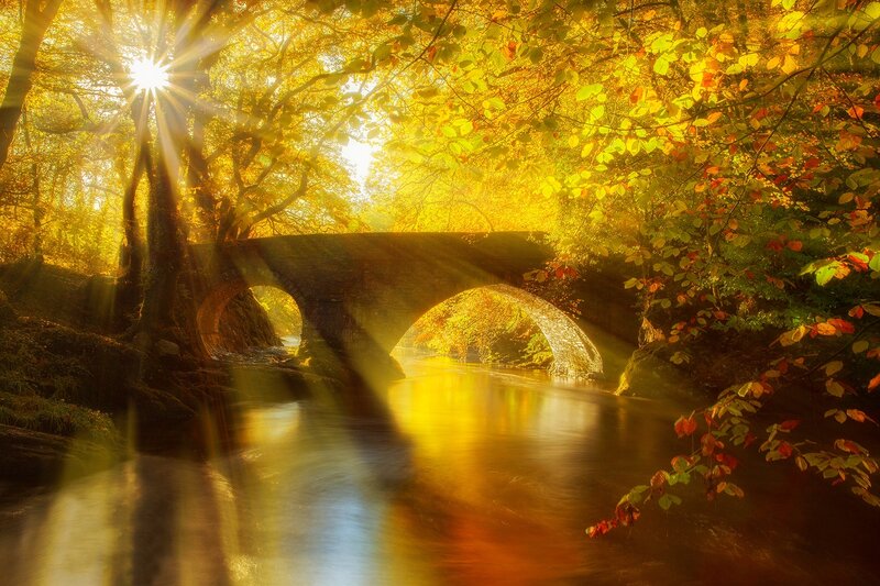Stone Bridge over River — Yellow, Serene, Autumn, Photograph