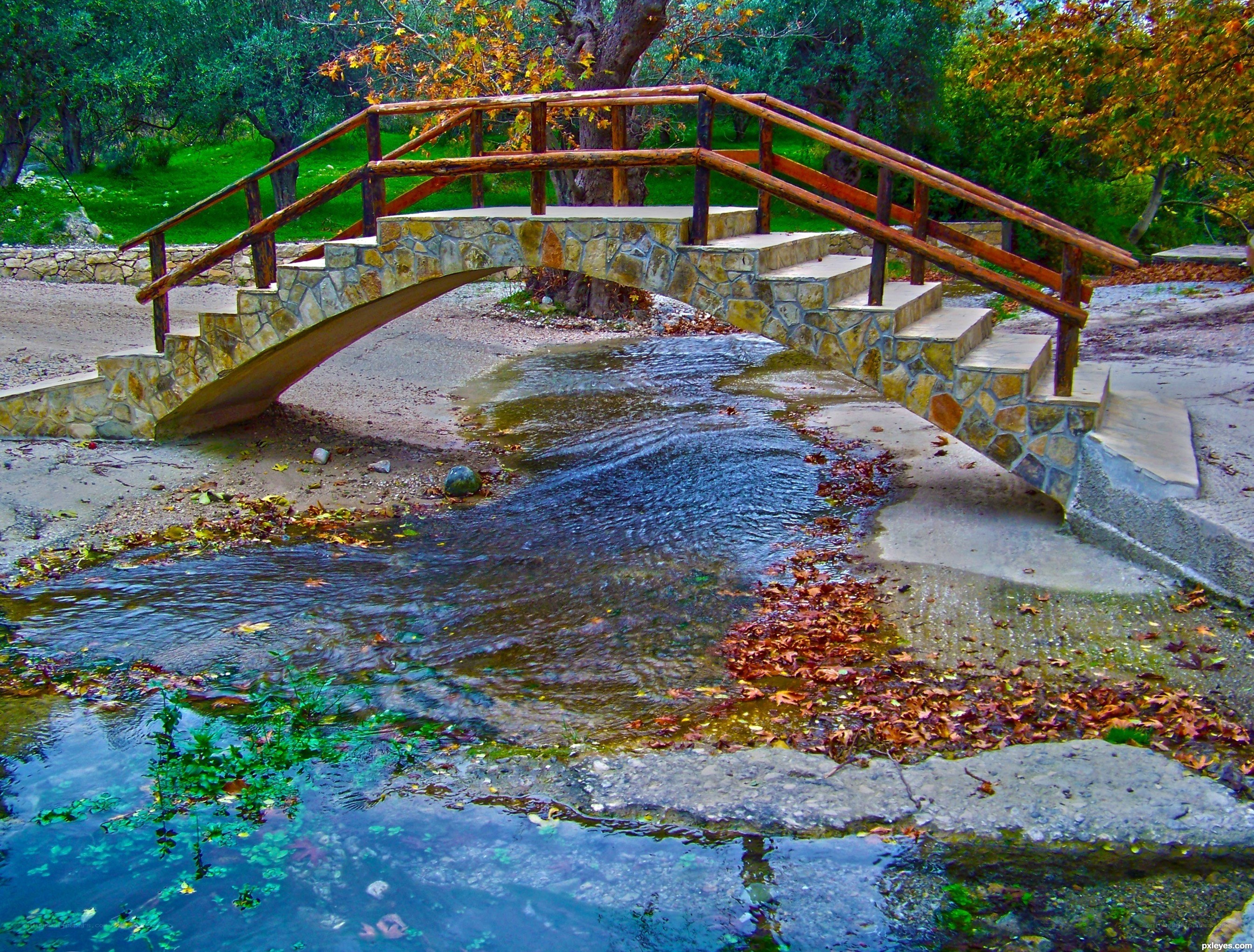 Stone bridge over stream