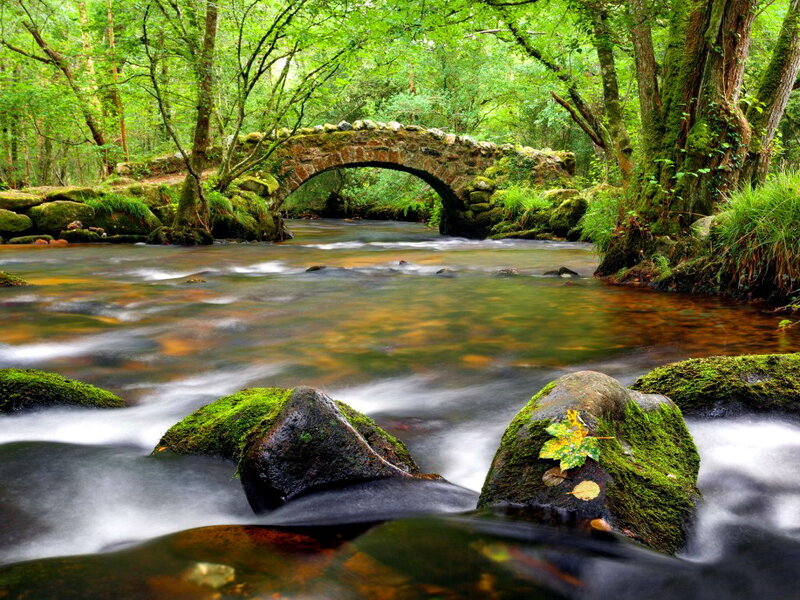 Stone Bridge over Stream — Green, Serene, Afternoon, Photograph, Forest, River, Mossy Rocks