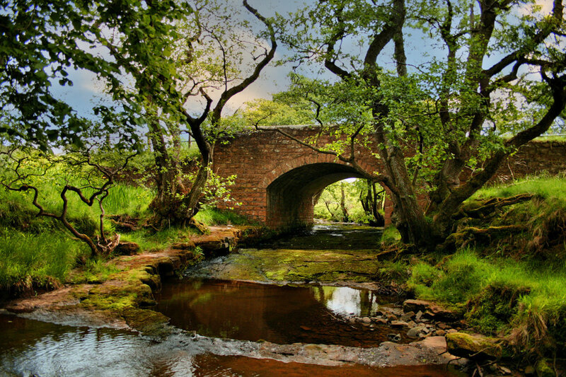 Stone Bridge over Stream — Green, Serene, Afternoon, Photograph