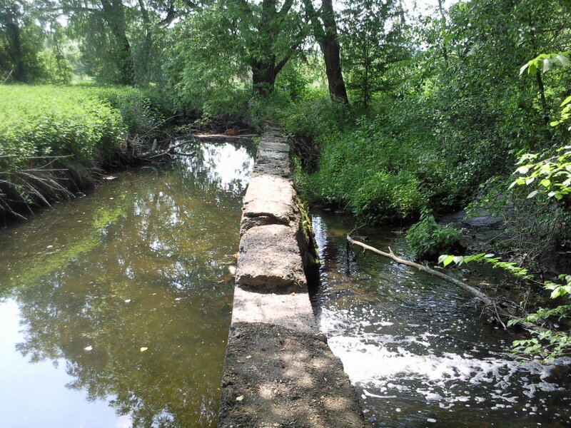 Stone Bridge over Stream — Green, Serene, Afternoon, Photograph, Trees, Vegetation