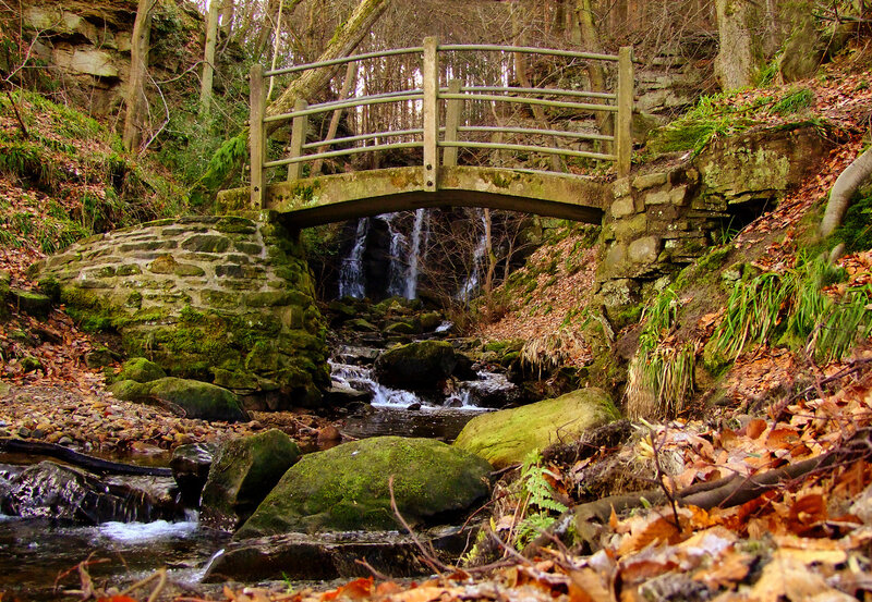 Stone Bridge over Stream — Green, Serene, Autumn, Photograph