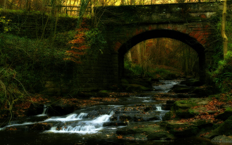 Stone Bridge over Stream — Green, Serene, Autumn, Photograph, Trees