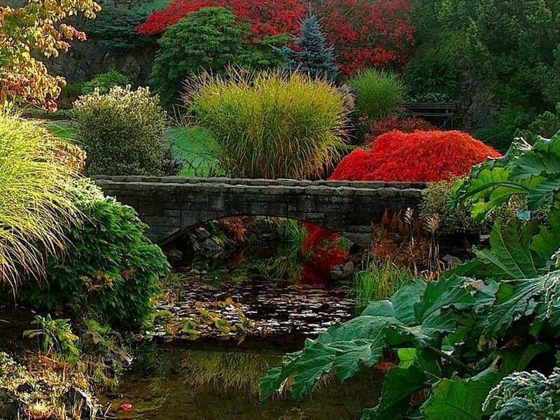 Stone Bridge over Stream — Green, Serene, Autumn