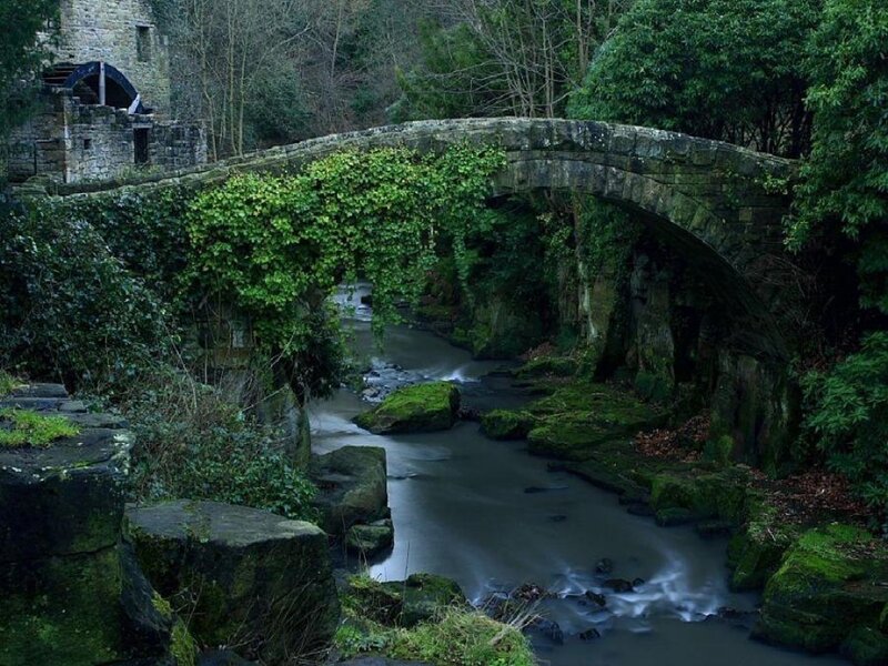 Stone Bridge over Stream — Green, Serene, Photograph