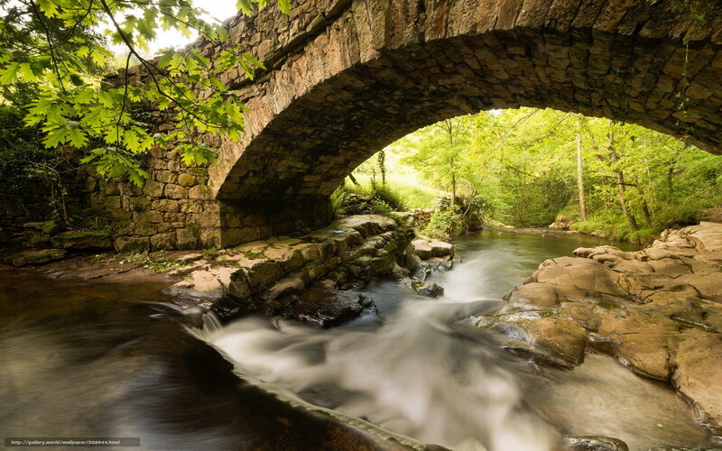 Stone Bridge over Stream — Green, Serene, Spring, Photograph, Trees, Rocks