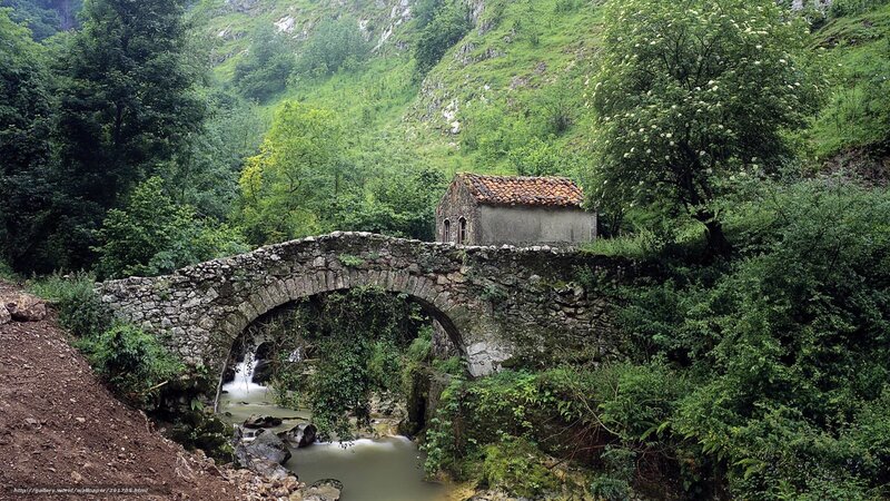 Stone Bridge over Stream — Green, Serene, Spring, Photograph, Trees