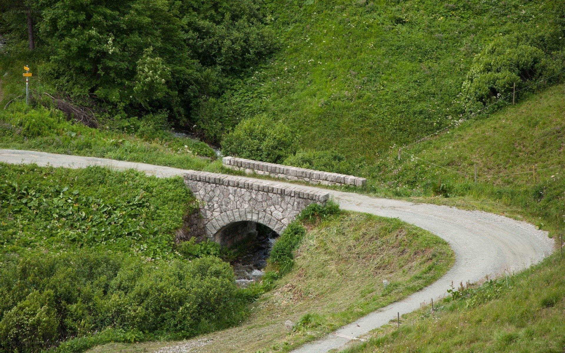 Stone bridge over stream in forest