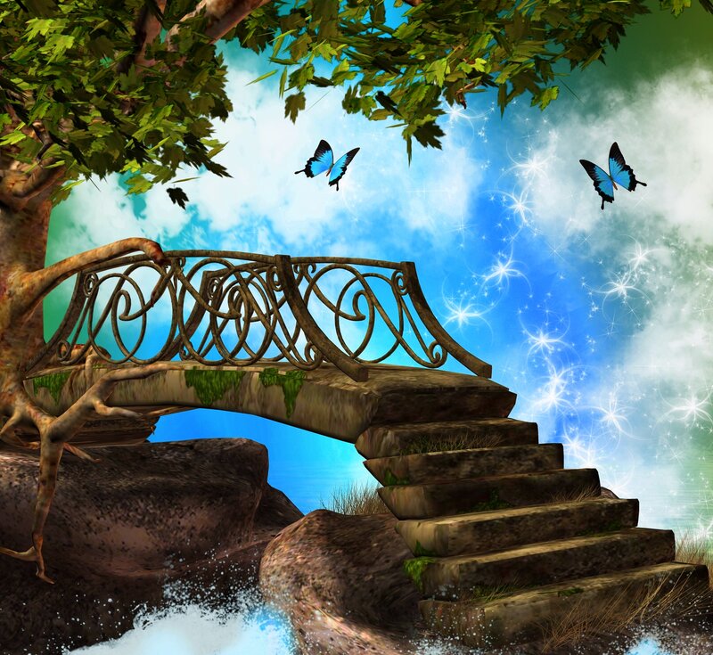 Stone Bridge with Butterflies