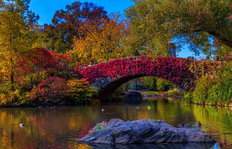 Stone Bridge with Ivy — Red