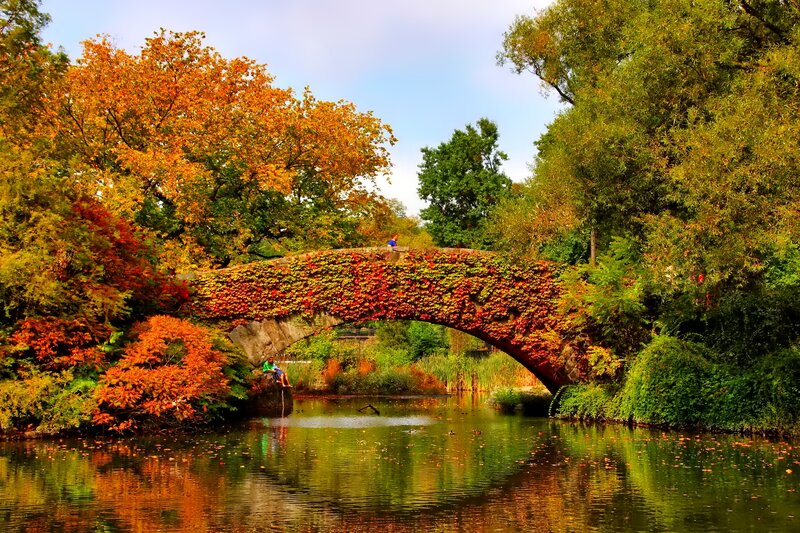 Stone Bridge with Ivy