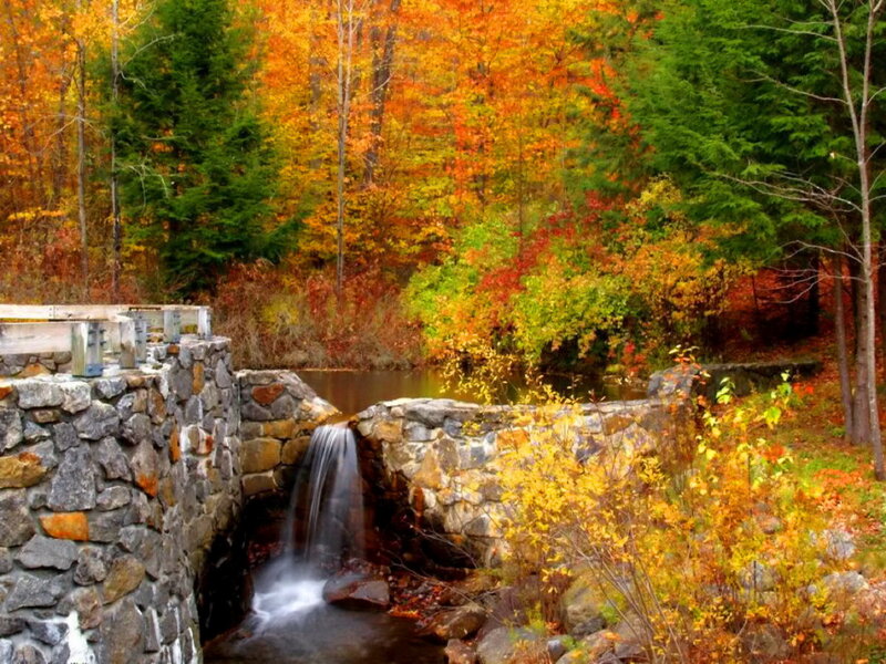 Stone Bridge with Waterfall — Orange