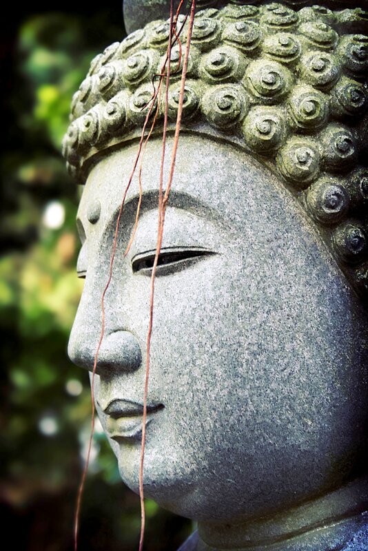 Stone Buddha head in profile