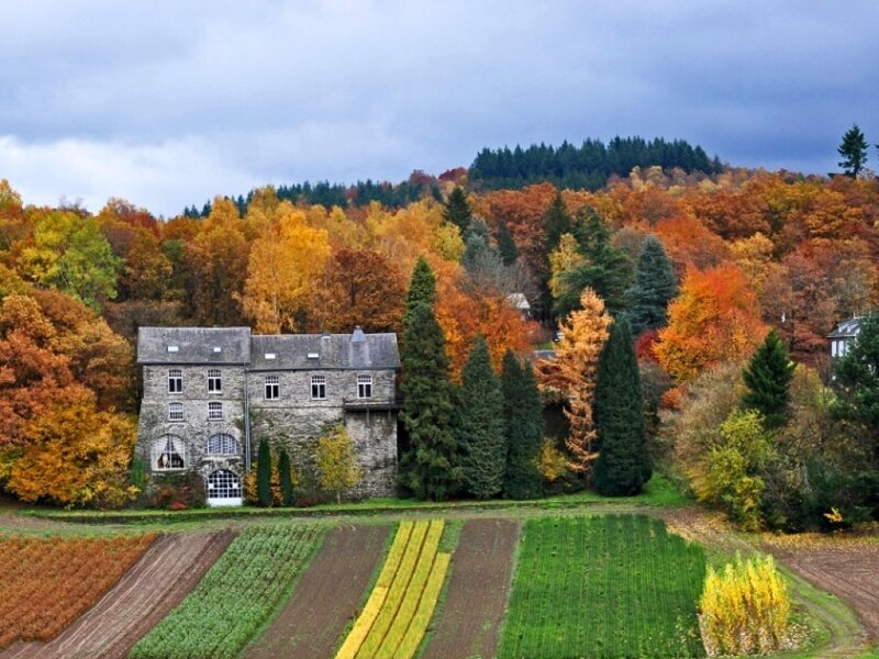 Stone Building in Autumn