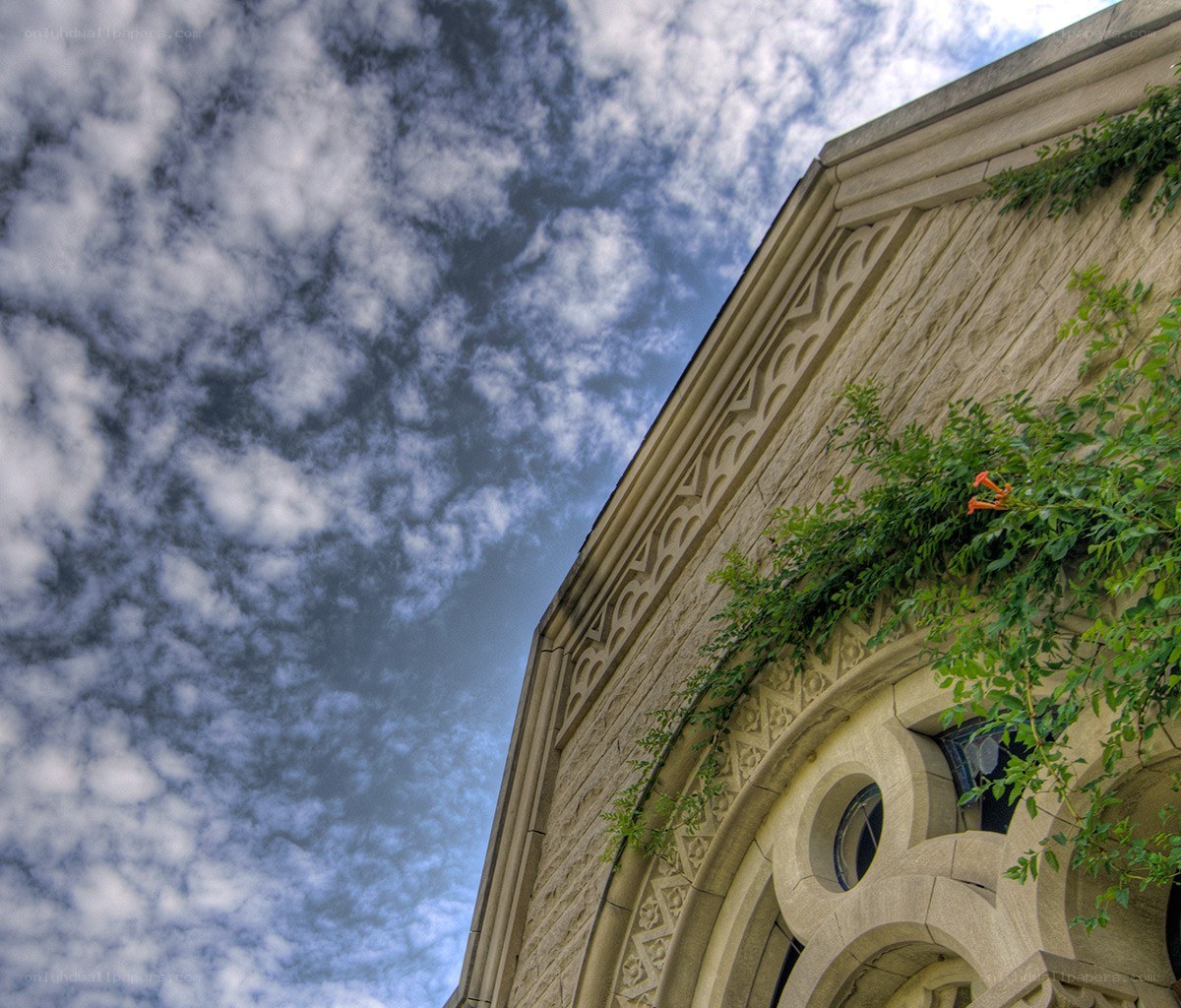 Stone building with ivy and sky