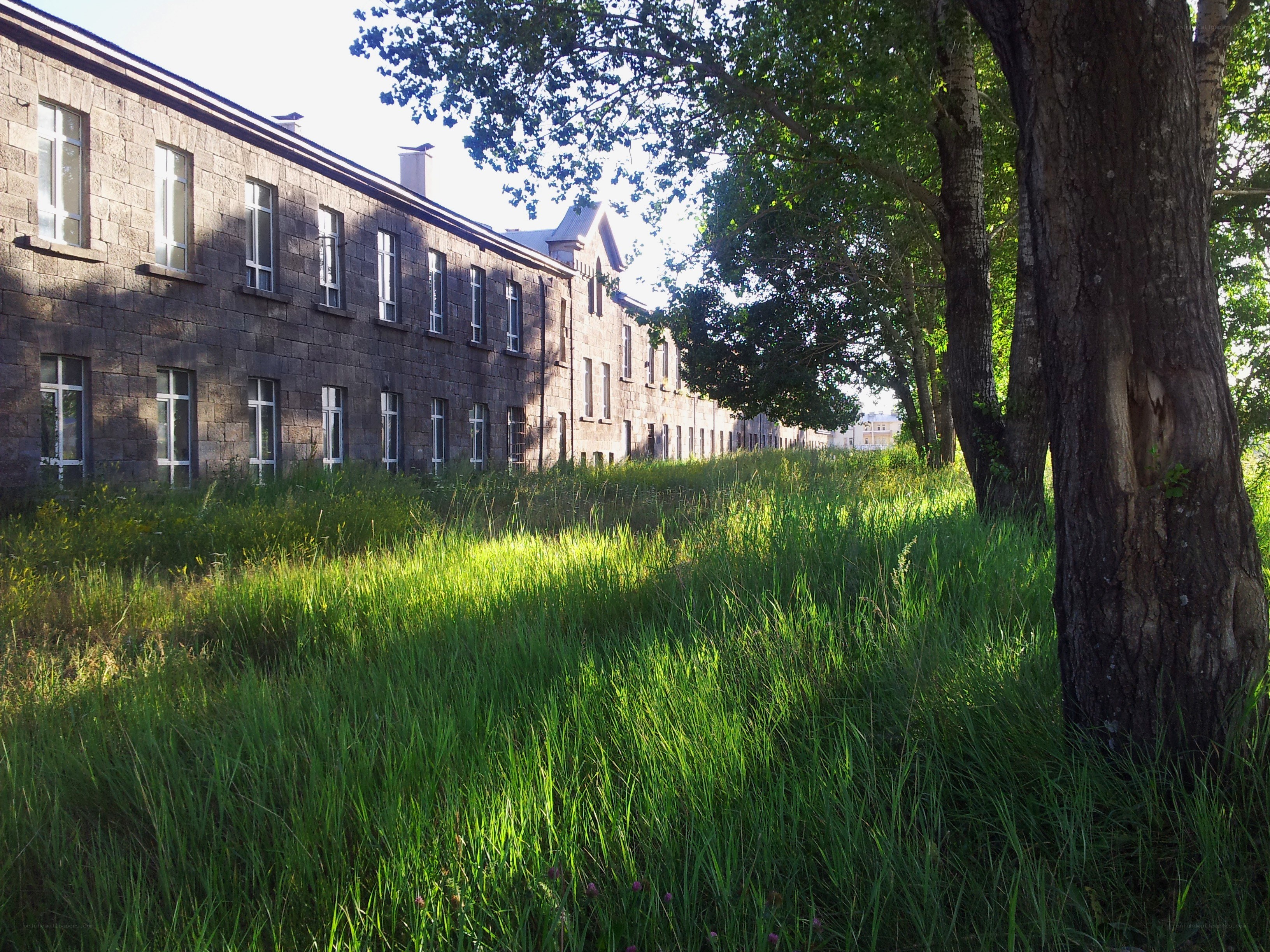 Stone building with overgrown grass