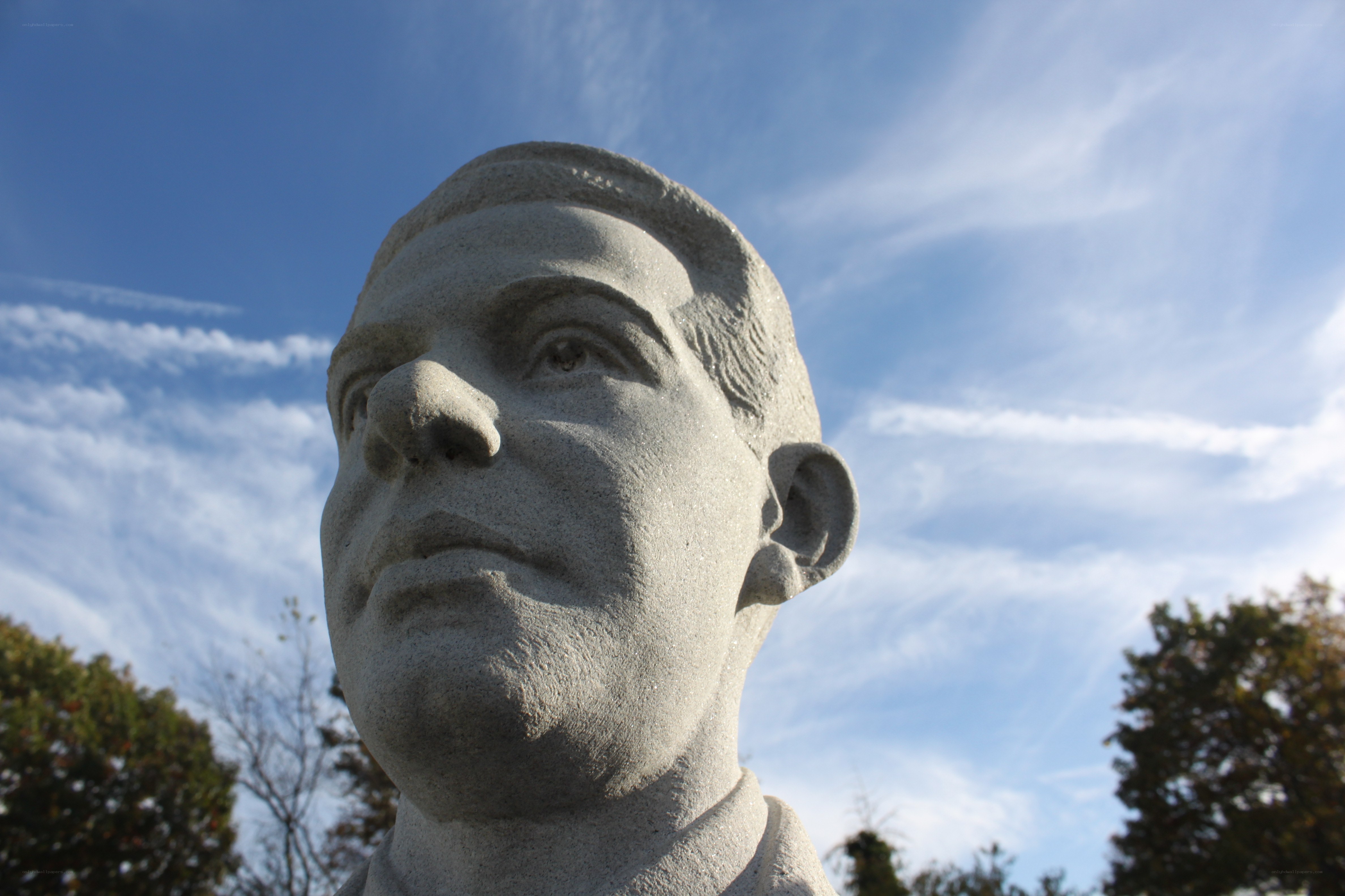 stone bust of a man