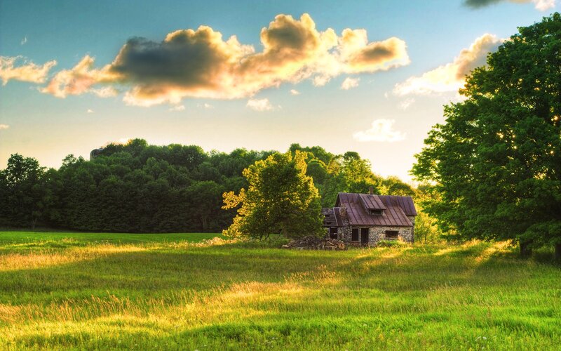 Stone Cabin in Field