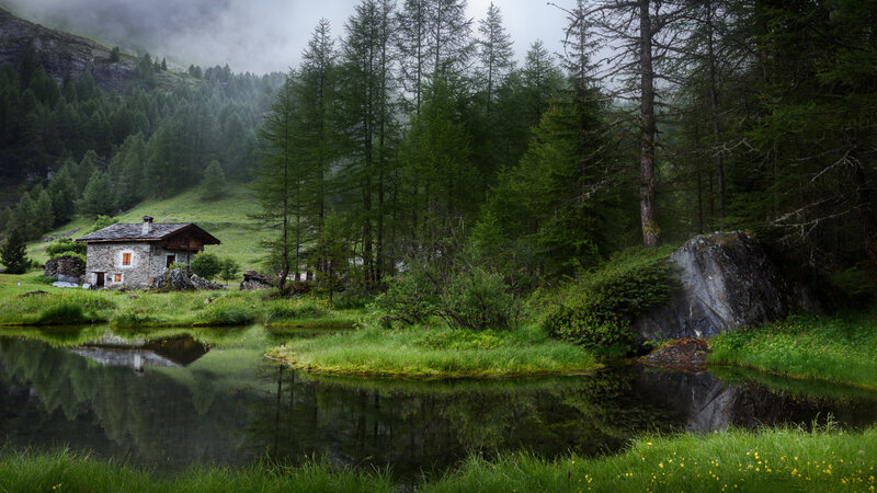 Stone Cabin in Forest — Green