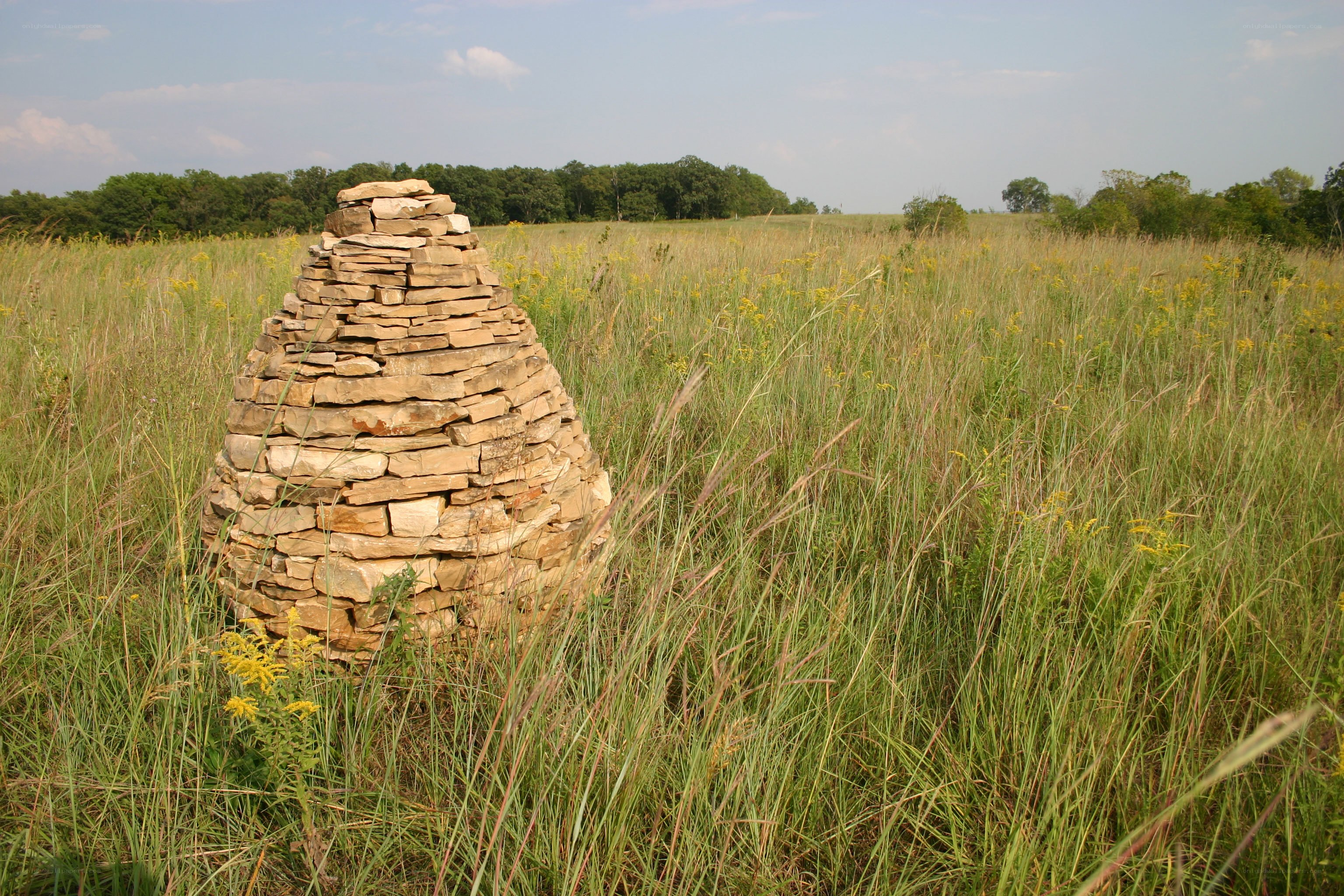 Stone cairn in a grassy field