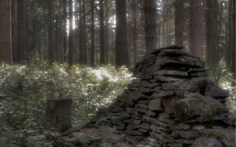 Stone cairn in forest
