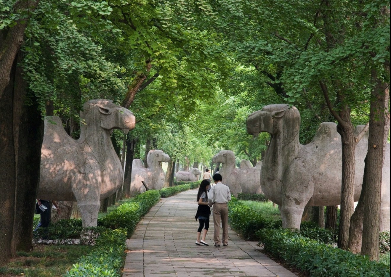 Stone camels in a park