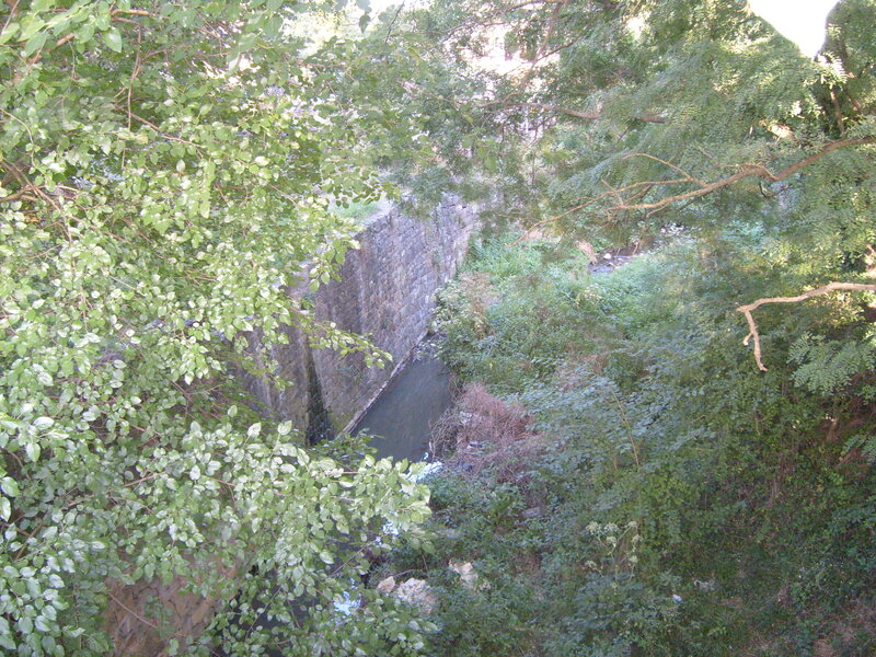 Stone Canal with Greenery