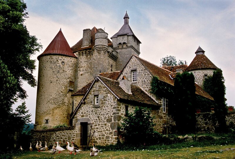 Stone Castle with Geese