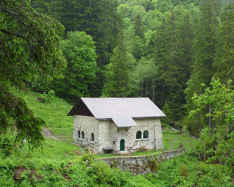 Stone Chapel in Forest — Green, Serene, Summer