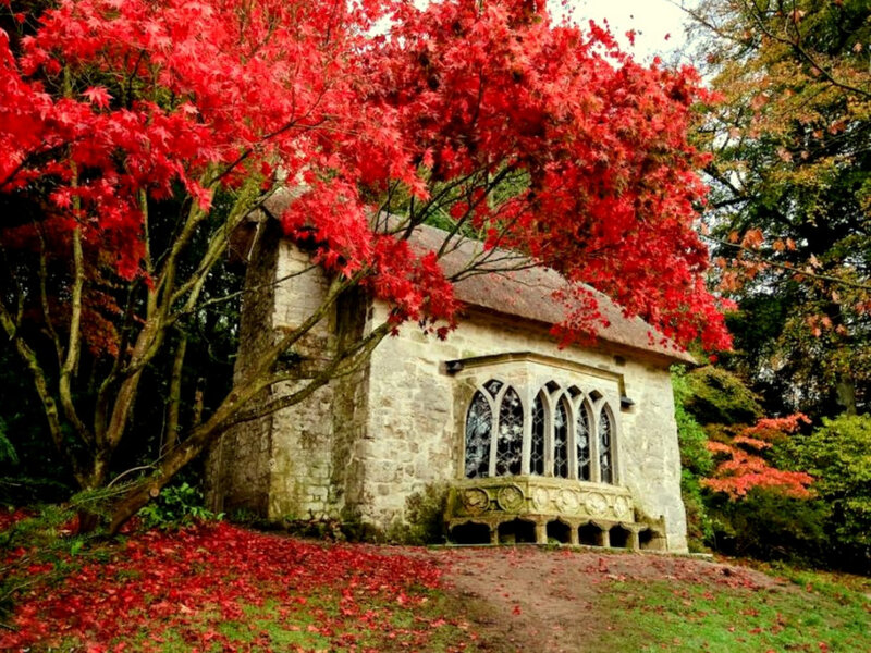 Stone Chapel under Tree