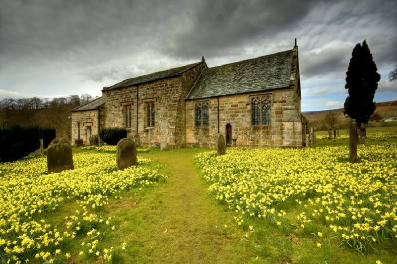 Stone Church with Daffodils