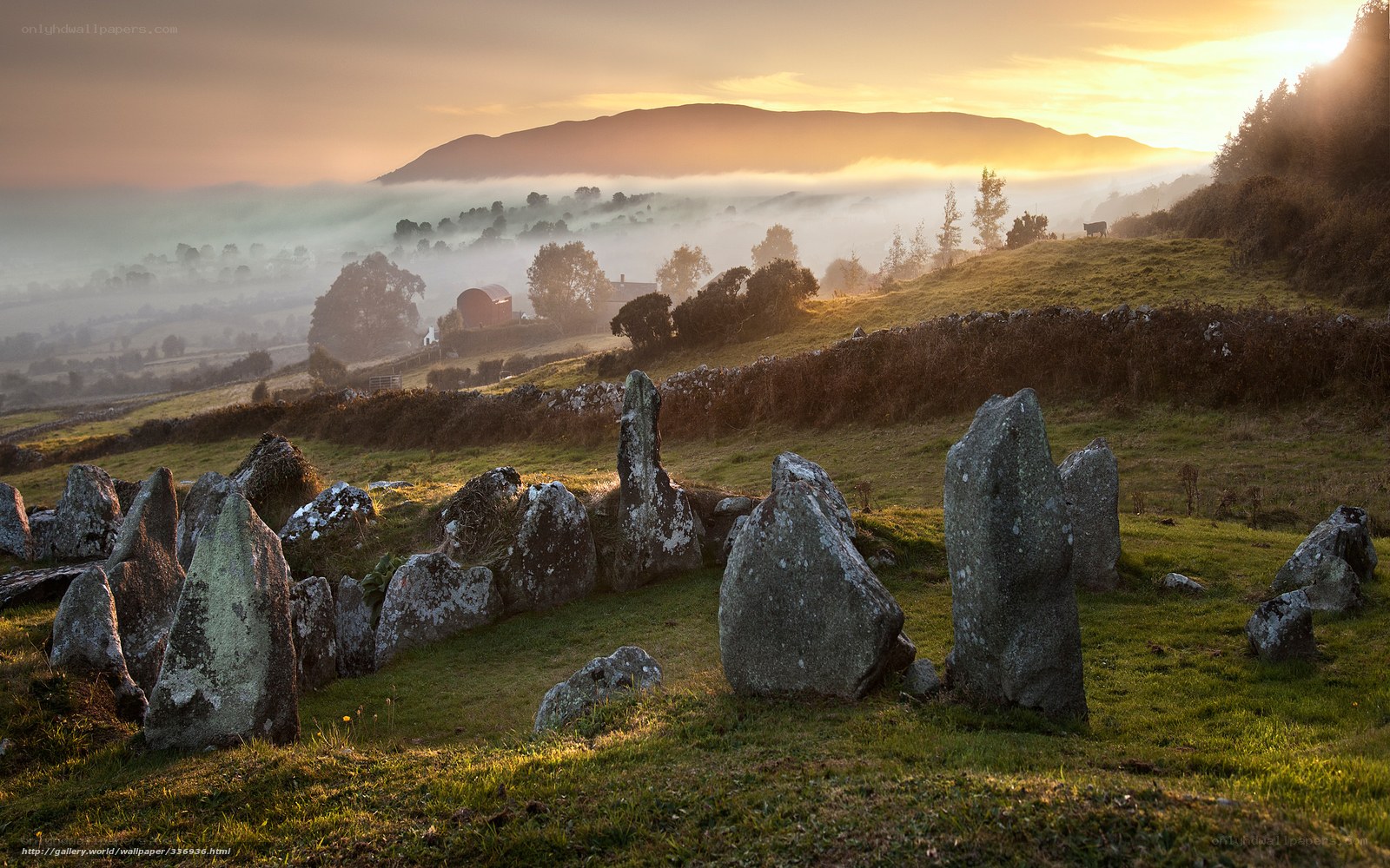 Stone circle at sunrise