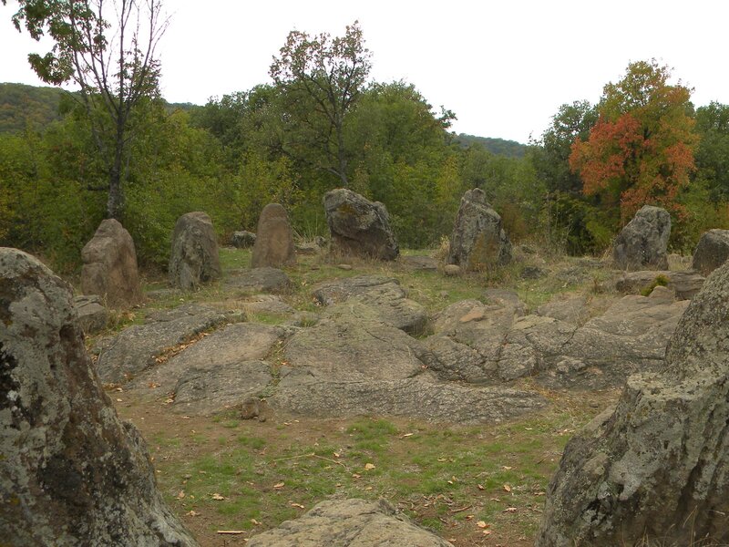 Stone circle in forest clearing