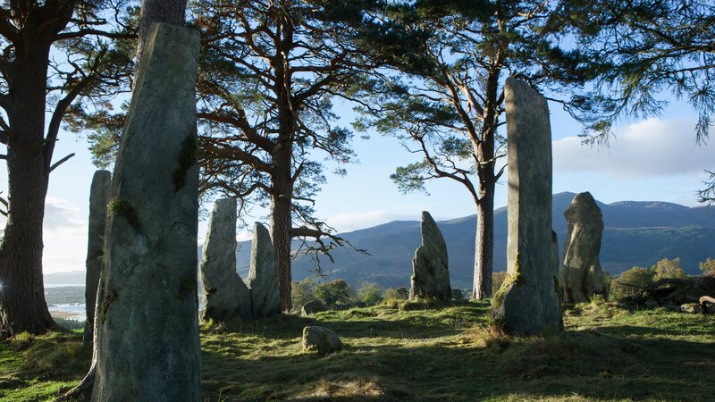 Stone Circle in Forest — Green, Serene
