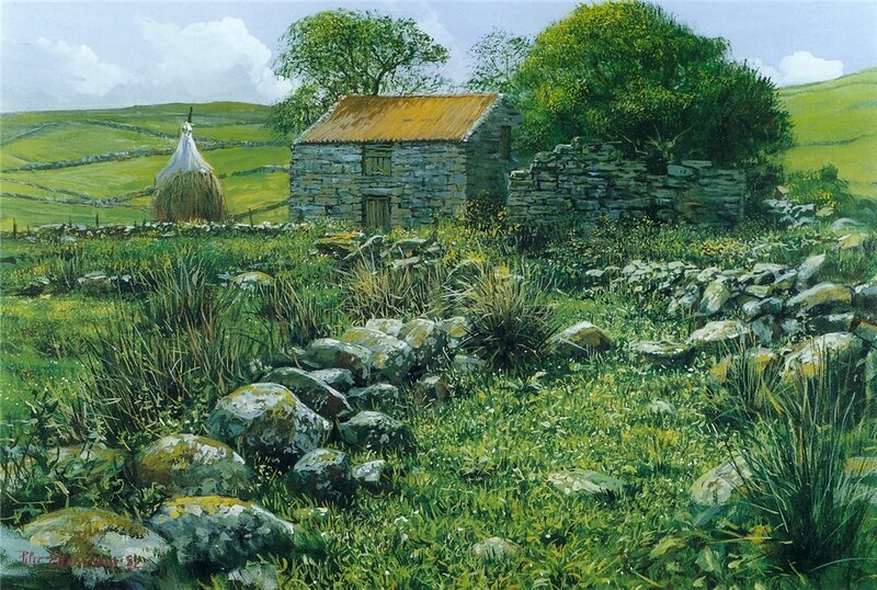 Stone Cottage in Field