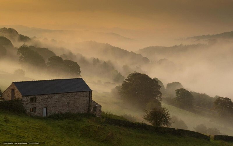 Stone Cottage in Fog — Green