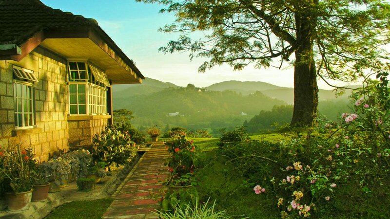 Stone Cottage in Garden — Green, Serene, Morning, Photograph
