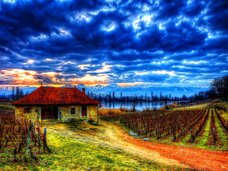 Stone Cottage in Vineyard
