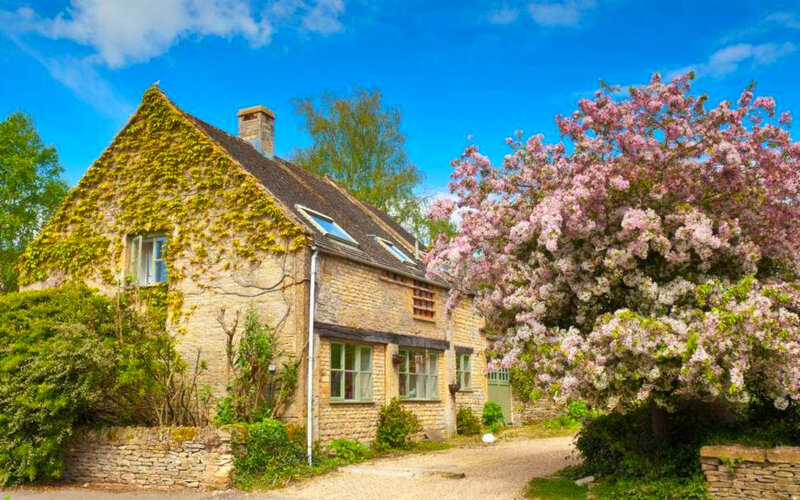 Stone Cottage with Blooming Tree