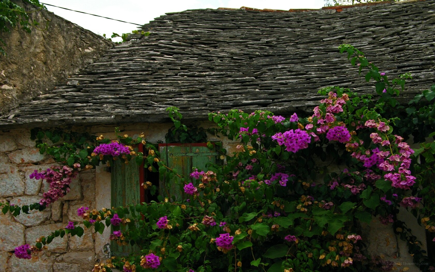 Stone cottage with bougainvillea