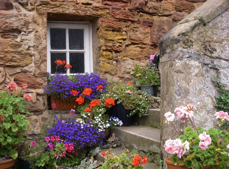 Stone Cottage with Flowers — Purple