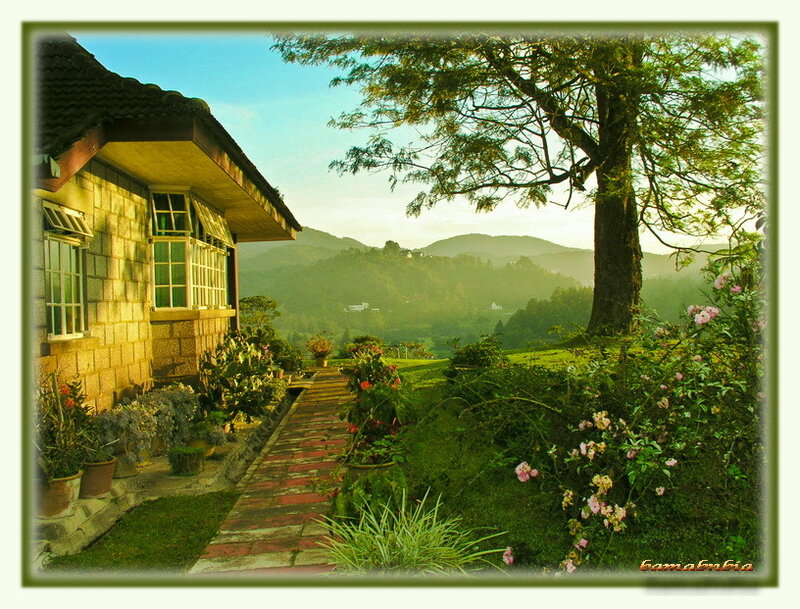 Stone Cottage with Garden — Green, Serene